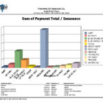 Graphic-Payments-by-Insurance_Lg