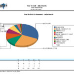 Graphic-Year-to-Date-by-Insurance-Adjustments_Lg